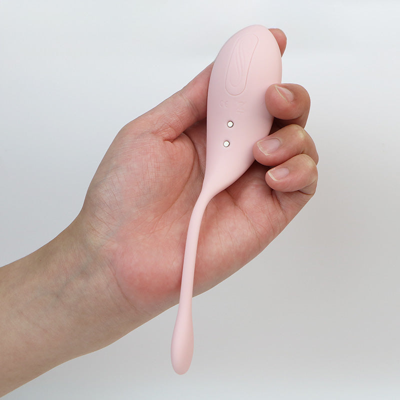 Velvra Cordless Vibrating Egg 12 Vibration Adult Sex Toys